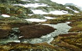 Norsko, zlatá cesta severu letecky 2019 - Norsko - mezi Dalsnibbou a Geirangerem, drsná krajina s nízkou sporou vegetací