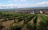 Zážitkové toulky po Tokaji za historií a vínem a Košice - Maďarsko - Tarcal, vesnice je od roku 2002 součástí památky UNESCO jako Tokajská vinařská oblast