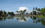 Poznávací zájezd - Bali - Indonesie - Bali -  pobřeží s plážemi a palmami (Wiki free)