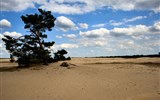 Přírodní parky a ostrovy severu Nizozemska a Gogh 2020 - Holandsko - NP De Hoge Veluwe (Wiki free)