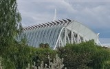 Valencie, perla Costa Azahar, přírodní parky a svátek Fallas 2020 - Španělsko - Valencie - Museu de les Ciències Príncipe Felipe, muzeum vědy, S.Calatrava, otevřeno 2000