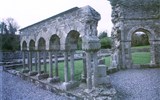 Poznávací zájezd - Irsko - Irsko, Mellifont Abbey