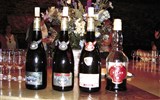 Poznávací zájezd - Francie - Francie - Burgundsko - burgundská vína patří k nejlepším světovým značkám