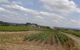 Poznávací zájezd - Champagne - Francie - Champagne - vinice se rozkládají na ploše 30.000 ha a roční produkce činí 270 milionů lahví