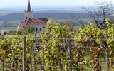 Poznávací zájezd - Česká republika - Česká republika - kolem Znojma jsou rozsáhlé vinice