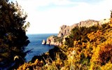 Poznávací zájezd - Mallorca - Španělsko, Mallorca