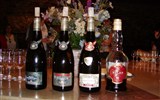 Poznávací zájezd - Burgundsko - Francie, Burgundsko, víno