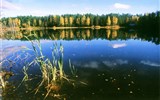 Poznávací zájezd - Estonsko - Pobaltí - Estonsko - země jezer. lesů a vysoké oblohy